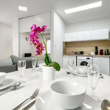 Apartment Homey Friendly - Proche Gare - Terrasse Privee - Wifi